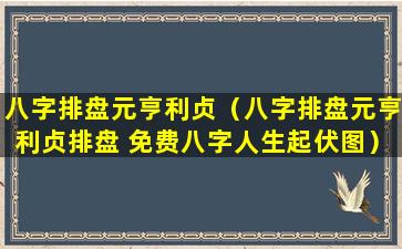 八字排盘元亨利贞（八字排盘元亨利贞排盘 免费八字人生起伏图）